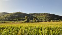 Blick aus dem Busfenster &ndash; &copy; Frank Schäfer (Eberhardt TRAVEL)