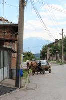 Dobarsko &ndash; &copy; Madlena Voigt (Eberhardt TRAVEL)