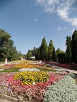 Blumen Bulgarien &ndash; &copy; Laura Schwanitz (Eberhardt TRAVEL)