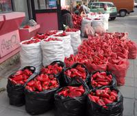 Paprika gefaellig ? &ndash; &copy; Elisabeth Fox-Maerki (Eberhardt TRAVEL)