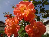 Sommerfrische &ndash; &copy; Elisabeth Fox-Maerki (Eberhardt TRAVEL)
