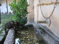 IMG_9370 &ndash; &copy; Kerstin Veit (Eberhardt TRAVEL)