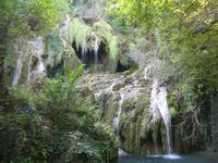 IMG_9686