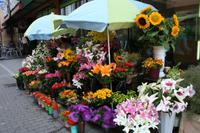 Unterwegs in Riga &ndash; &copy; Annett Müller (Eberhardt TRAVEL)