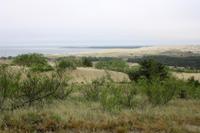 Wanderdünen der Kurischen Nehrung &ndash; &copy; Kristin Weigel (Eberhardt TRAVEL)