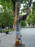 Strickmode für Bäume &ndash; &copy; Steffi Zimmermann (Eberhardt TRAVEL)