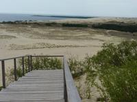 Wanderdüne Kurische Nehrung &ndash; &copy; Steffi Zimmermann (Eberhardt TRAVEL)