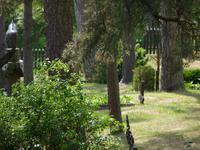 Kirchhof Nidden [ &ndash; &copy; Steffi Zimmermann (Eberhardt TRAVEL)