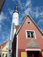 Lange Spargel &ndash; &copy; Steffi Zimmermann (Eberhardt TRAVEL)