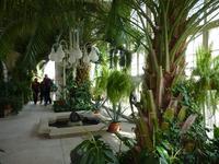 Palmenhaus &ndash; &copy; Steffi Zimmermann (Eberhardt TRAVEL)
