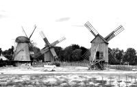 Im Angla Windmühlenpark auf Saaremaa  &ndash; &copy; Simone Willner (Eberhardt TRAVEL)