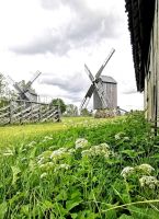 Im Angla Windmühlen Park Saarema &ndash; &copy; Simone Willner (Eberhardt TRAVEL)