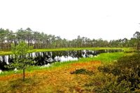 Lahemaa Nationalpark &ndash; &copy; Simone Willner (Eberhardt TRAVEL)