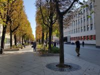 Stadtführung in Kaunas (9).jpg &ndash; &copy; Steffi Lambrecht (Eberhardt TRAVEL)