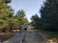 2.Wanderung Hohe Düne bis Nidda (27).jpg &ndash; &copy; Steffi Lambrecht (Eberhardt TRAVEL)