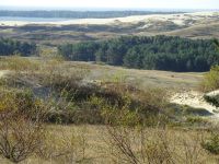 Kurische Nehrung &ndash; &copy; Inge Bily (Eberhardt TRAVEL)