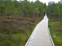 Lahemaa Nationalpark &ndash; &copy; Inge Bily (Eberhardt TRAVEL)