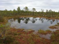 Lahemaa Nationalpark &ndash; &copy; Inge Bily (Eberhardt TRAVEL)