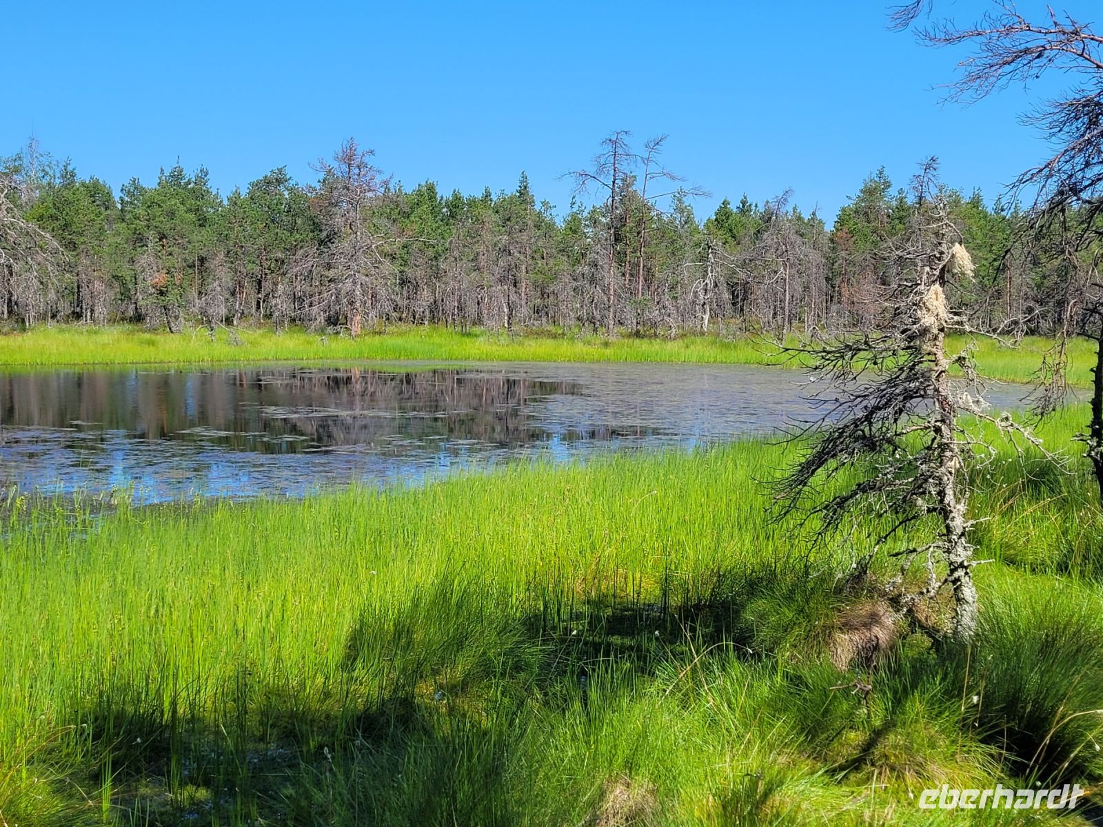 Lahemaa NP Moor Viru Rabu &ndash; &copy; Steffi Zimmermann (Eberhardt TRAVEL)