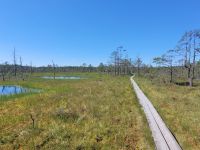 Lahemaa NP Moor Viru Rabu &ndash; &copy; Steffi Zimmermann (Eberhardt TRAVEL)