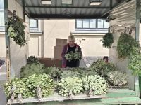Tag 6 - Riga - Markt 2 &ndash; &copy; Jana Wessendorf (Eberhardt TRAVEL)