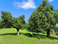 Turaida Freilichtmuseum Park &ndash; &copy; Heike Jack (Eberhardt TRAVEL)