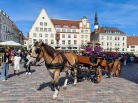 Tallinn Altstadt &ndash; &copy; Heike Jack (Eberhardt TRAVEL)