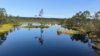 Laheema Nationalpark Viru Rabu Moor &ndash; &copy; Heike Jack (Eberhardt TRAVEL)