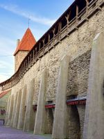 Stadtmauer
