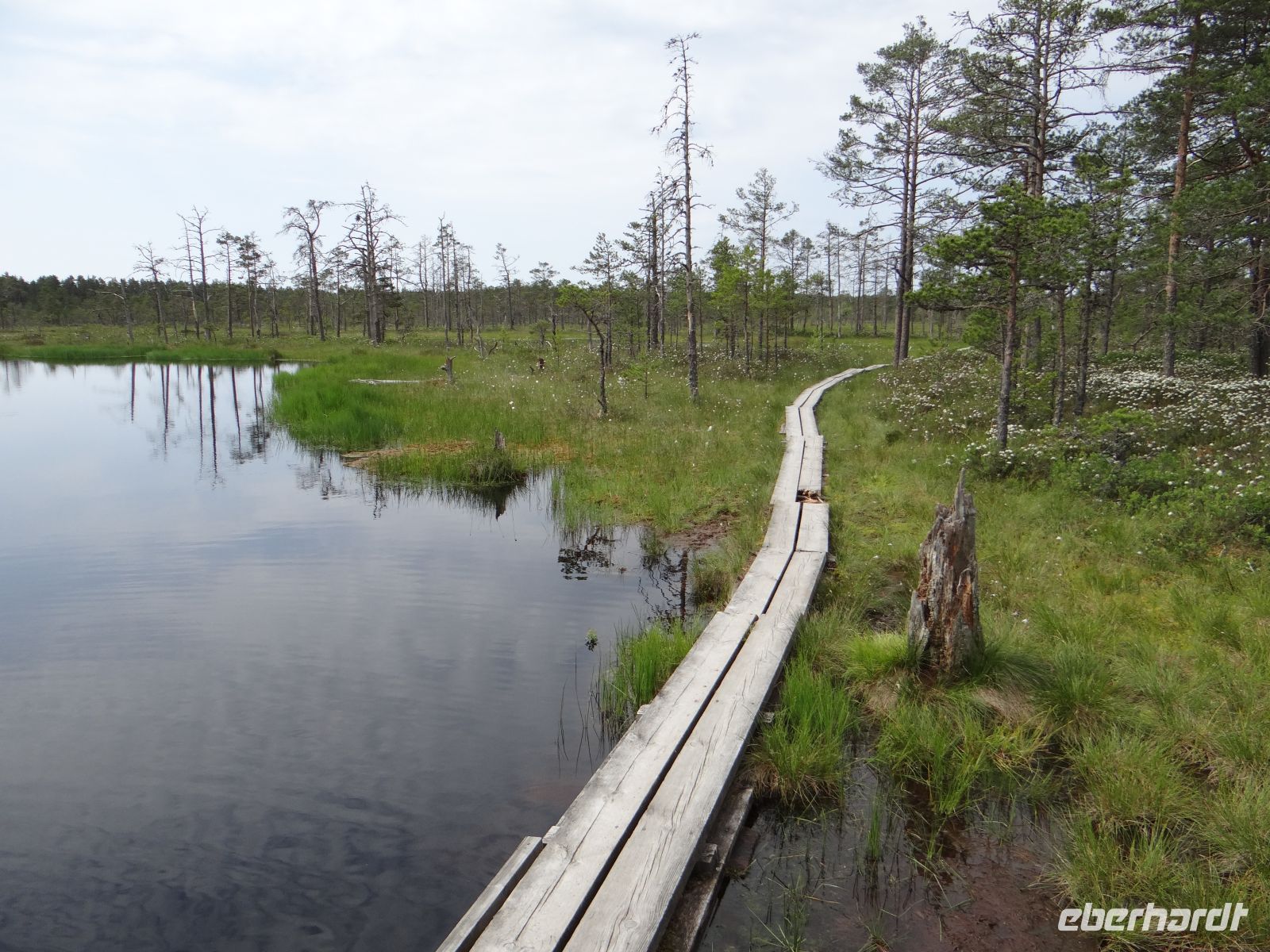 Lahemaa Nationalpark, Moorpfad &ndash; &copy; Vivian Kreft (Eberhardt TRAVEL)