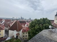 Altstadt von Vilnius (11) &ndash; &copy; Thomas Krupp (Eberhardt TRAVEL)