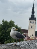 Altstadt von Vilnius (12) &ndash; &copy; Thomas Krupp (Eberhardt TRAVEL)