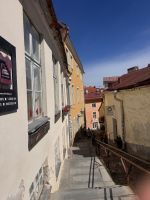 Tallin (10)