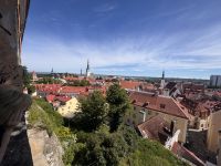 Tallin (14) &ndash; &copy; Thomas Krupp (Eberhardt TRAVEL)