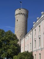 Tallin (16)