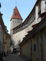 Altstadt von Tallinn