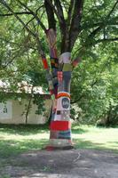eingestrickter Baum in Vilnius &ndash; &copy; Manuela Kreuz (Eberhardt TRAVEL)