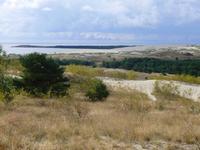 Kurische Nehrung &ndash; &copy; Kathrin Mickan (Eberhardt TRAVEL)