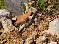 P1010163 &ndash; &copy; Kathrin Mickan (Eberhardt TRAVEL)