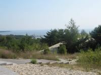 Sanddüne
