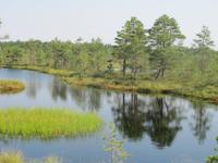 Laahema Nationalpark &ndash; &copy; Kerstin Hugel (Eberhardt TRAVEL)