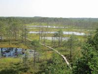Laahema Nationalpark &ndash; &copy; Kerstin Hugel (Eberhardt TRAVEL)