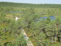 Laahema Nationalpark &ndash; &copy; Kerstin Hugel (Eberhardt TRAVEL)