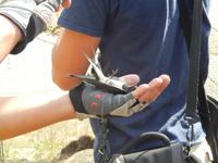 Vogelwarte in Vente &ndash; &copy; Rico Manns (Eberhardt TRAVEL)