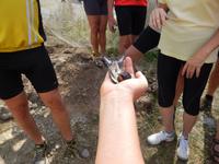 Vogelwarte in Vente &ndash; &copy; Rico Manns (Eberhardt TRAVEL)
