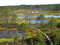 Lahemaa Nationalpark &ndash; &copy; Kathrin Mickan (Eberhardt TRAVEL)