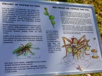 Lahemaa Nationalpark &ndash; &copy; Kathrin Mickan (Eberhardt TRAVEL)