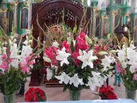 Blumenpracht