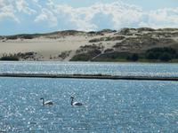 Kurische Nehrung &ndash; &copy; Kathrin Mickan (Eberhardt TRAVEL)