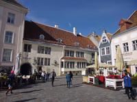 Estland_Tallin_Markt (1) &ndash; &copy; Andreas Höhn (Eberhardt TRAVEL)